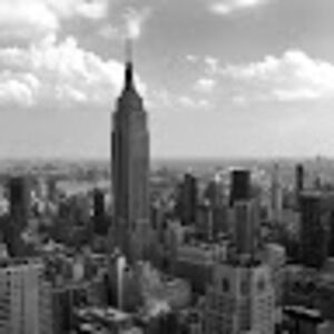 Meet your Posher, Louie